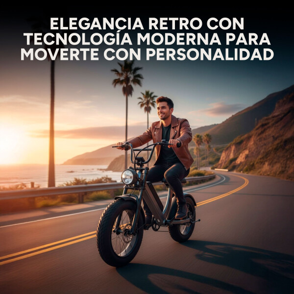 Bicicleta Electrica GoGreen Road Rueda Ancha 350w Bat 10Ah Color Negro