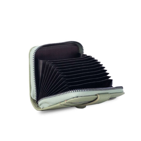 Tarjetero Ariana Salvia