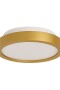 Plafón LED pequeño moderno, Dimerizable 15W 20CM DORADO