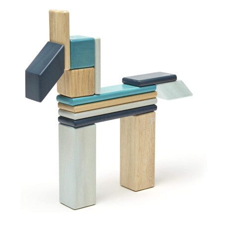 Piezas Magneticas Tegu 14 Piezas