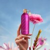 Montale Paris Roses Musk Eau de Parfum 100ml - Femenino Montale Paris Roses Musk Eau de Parfum 100ml - Femenino