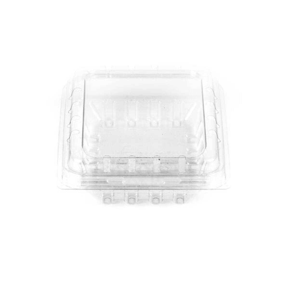 BLISTER BERRIES CON VENTILACION 13X11X4.2 CM. 