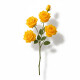 Rama de Rosas Amarillas Rama de Rosas Amarillas