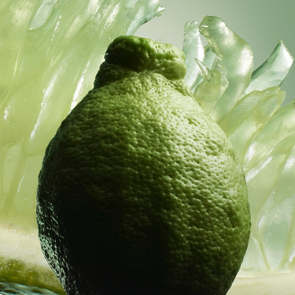 Notas de salida: bergamota de Calabria y almizcle