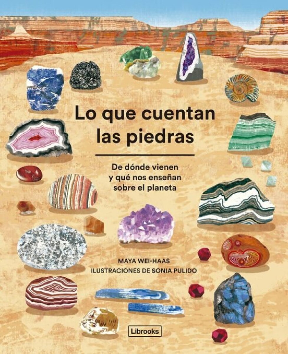 LO QUE CUENTAN LAS PIEDRAS 