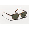 Moscot Kash Tortoise/gold
