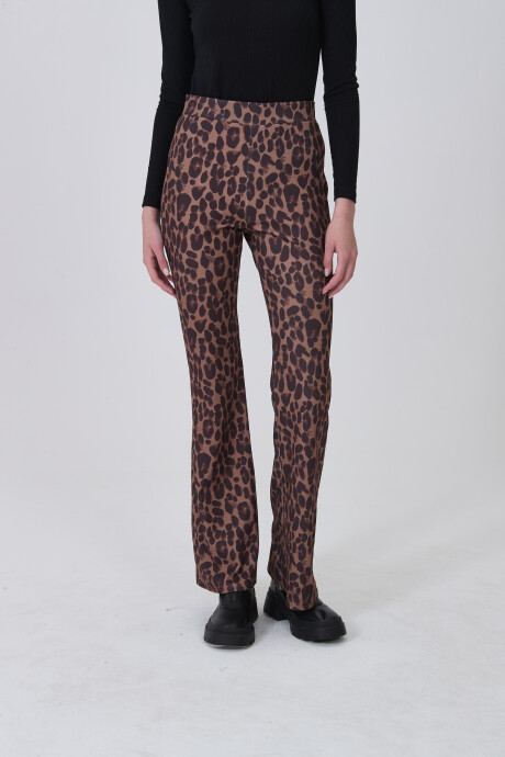 Calza Nesa Estampado 1