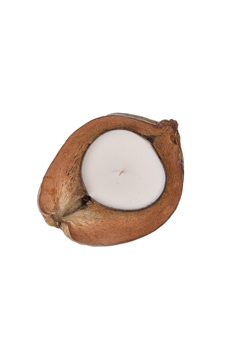 VELAS Y CANDELABROS CANDELABRO COCO 20DIAMX8H CM