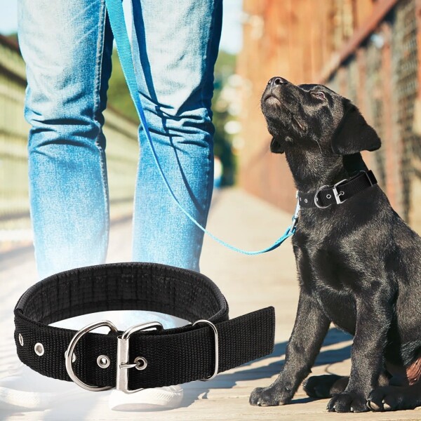 Collar Ajustable Reforzado Hebilla Nylon Perro Gato Mediano Variante Color Negro