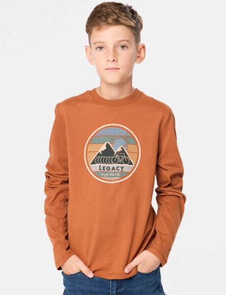 REMERA ESTAMPADA Terracota