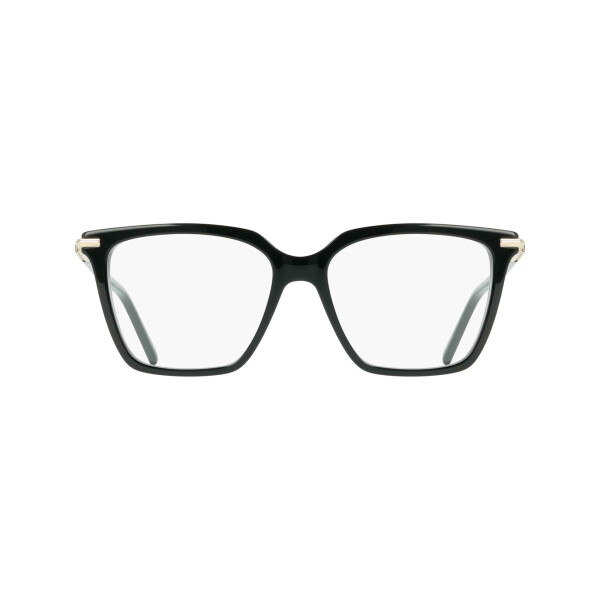 Ferragamo 3038/54 col 001 Ferragamo 3038/54 Col 001
