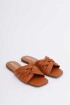 Livy Camel