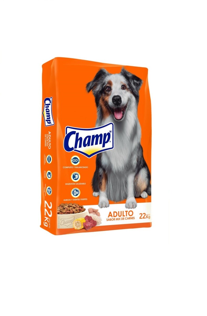 Champ Perro Adulto - 22 Kg 