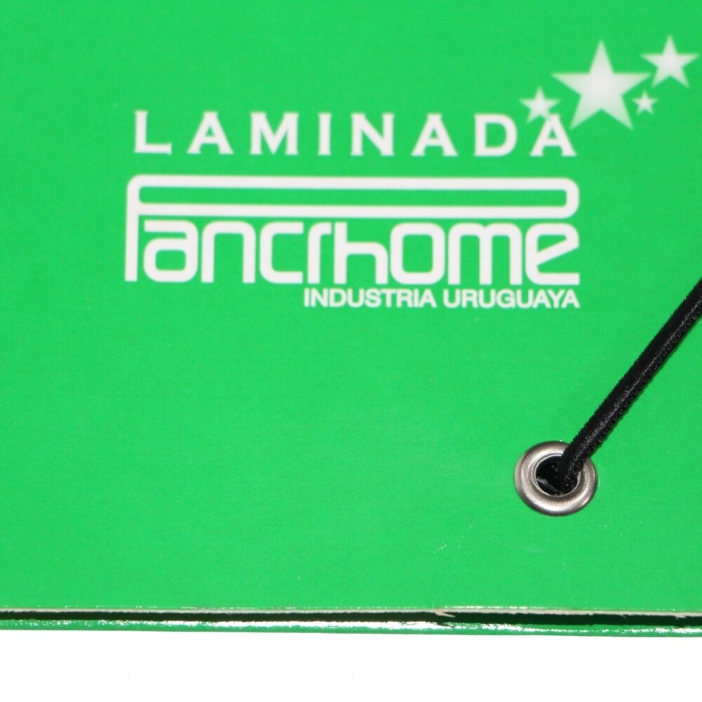 CARPETA PANCHROME CON ELASTICO 320 COLOR VERDE CARPETA PANCHROME CON ELASTICO 320 COLOR VERDE