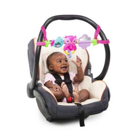 Barra de Juegos Bright Starts Busy Birdies ROSA