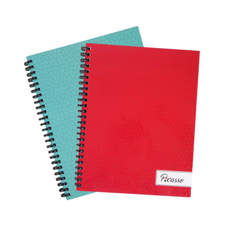 Cuaderno Picasso 96hojas espiral soft Cuaderno Picasso 96hojas espiral soft