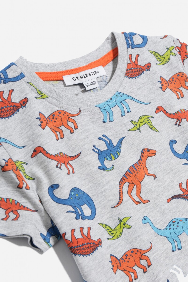 Remera dinosaurios GRIS