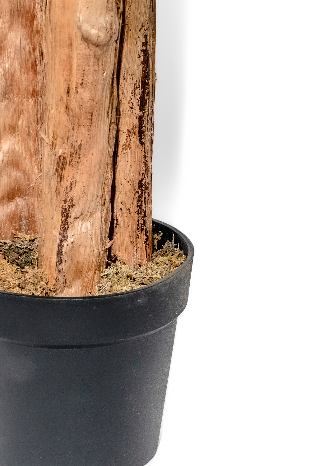 Planta Arum 100cm Color Unico