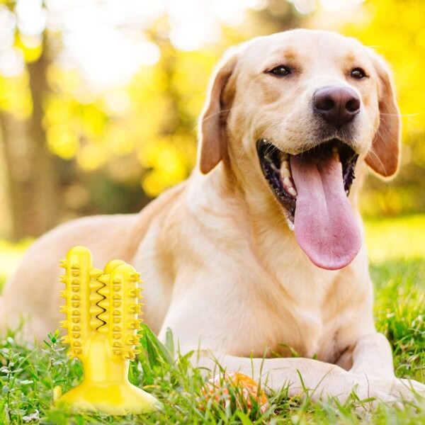 Juguete Dental Cactus Perro Higiene C/ Ventosa Limpia Sarro Color Variante Amarillo
