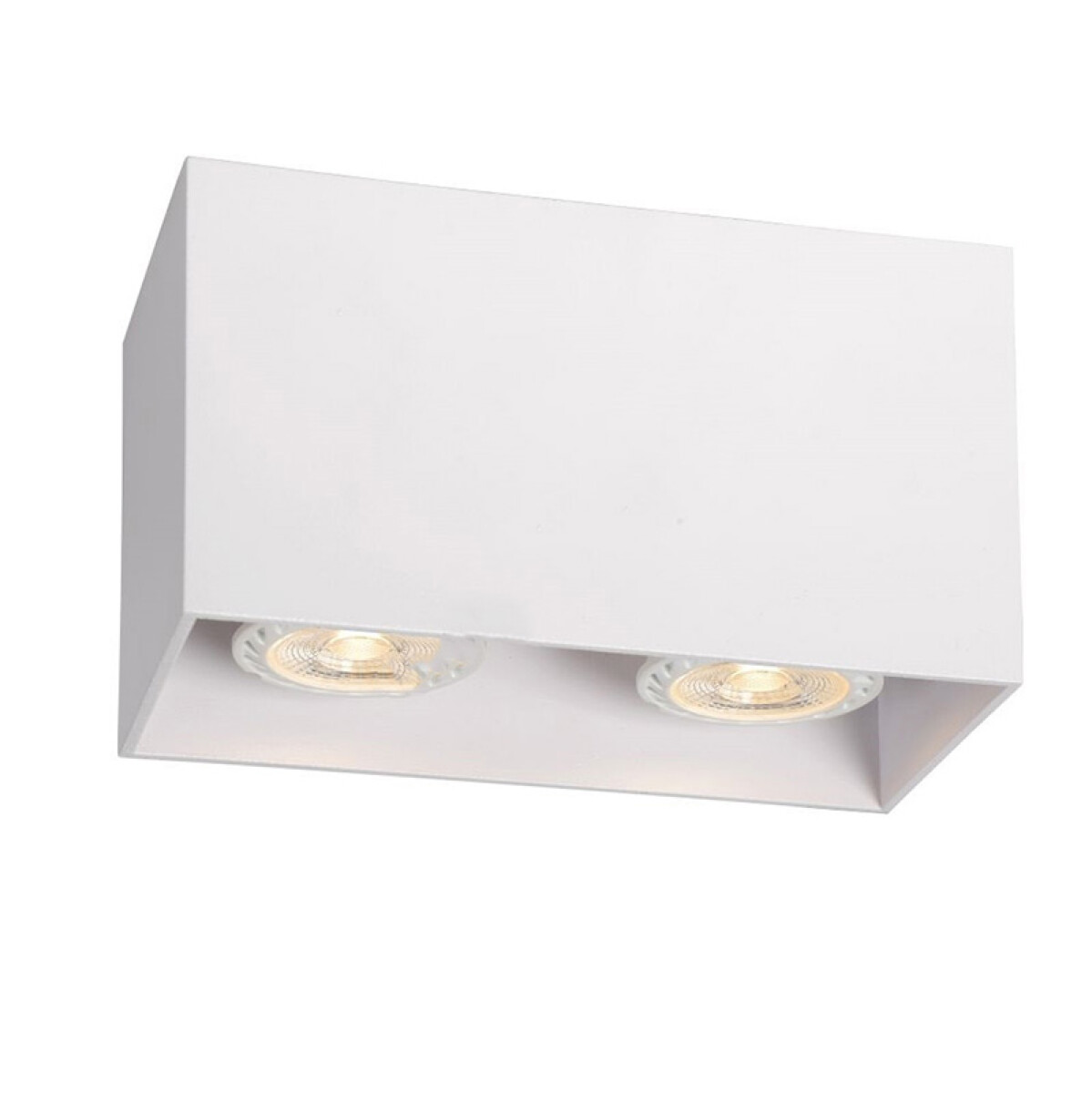 Luminaria de techo Prisma Doble Downlight 