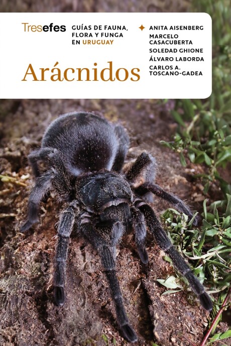 ARACNIDOS ARACNIDOS
