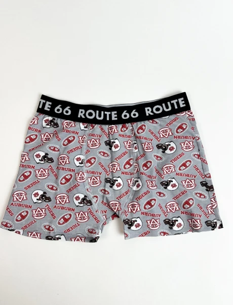 Boxer Cadish 09