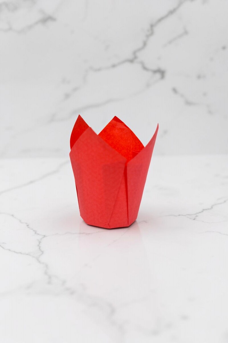Tulipa 15x5 cm - ROJO 