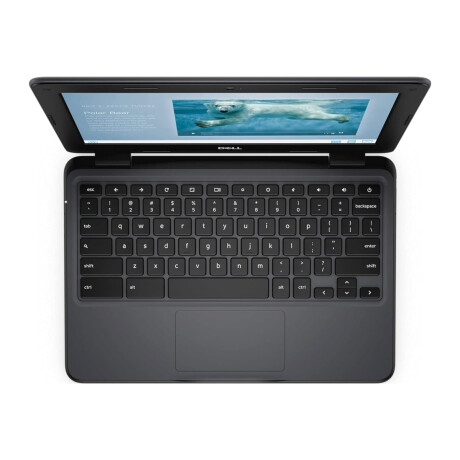 Dell - Laptop Notebook Chromebook N4020 - 11,6". Intel Celeron N4020. Intel Uhd 600. Chrome. Ram 4GB 001