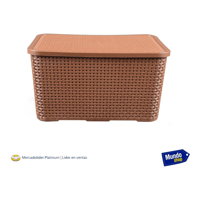 Caja Cesto Canasto Organizador Rattan 40lts Tapa - Grande-m Caja Cesto Canasto Organizador Rattan 40lts Tapa - Grande-m