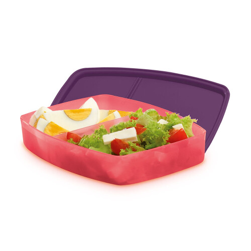 ECO LUNCH CON DIVISIONES ROSA ECO LUNCH CON DIVISIONES ROSA