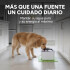 Fuente Agua Gatos Perros Bebedero + 2 Filtros Repuesto Fuente Agua Gatos Perros Bebedero + 2 Filtros Repuesto