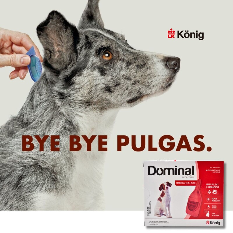 PIPETA ANTIPULGAS Y GARRAPATAS PARA PERROS DOMINAL KONIG DE 10,1 A 25 KG