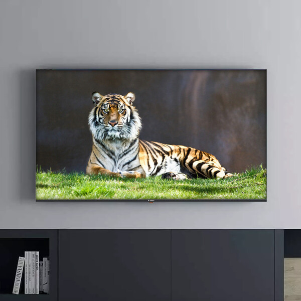 Smart Tv James Tvj Led S55 V2 El Smart 55" TV 55 JAMES SMART S55 V2EL 000155