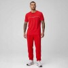 Short The 24-7 Tee Dna Stripe Hombre Heated Red/classic White