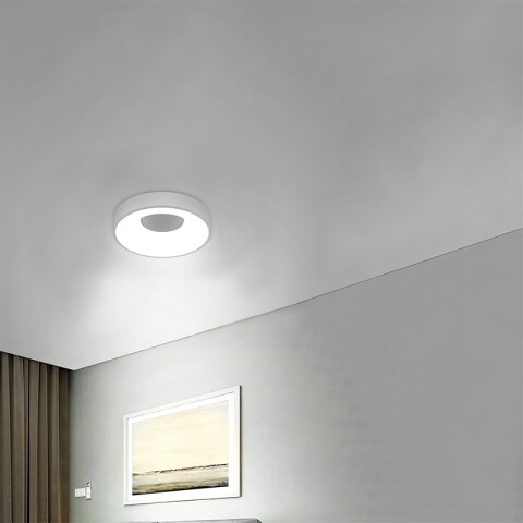 Lámpara de techo LED 30W CCT 2100Lm redonda Ø30cm IX2290