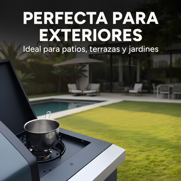 Parrillero Barbacoa A Gas Portátil Patio Jardín Hornalla X4 Color Gris