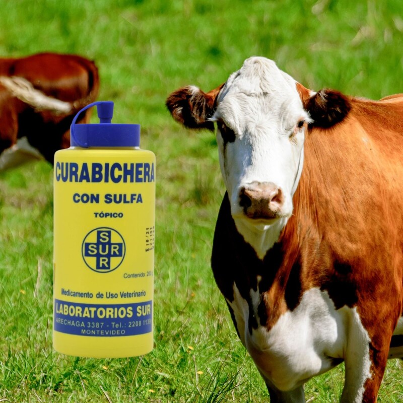 CURABICHERA SUR CON SULFA 200 G CURABICHERA SUR CON SULFA 200 G