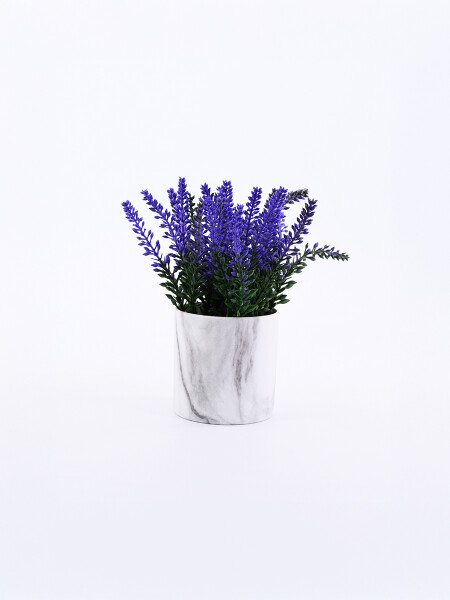 LAVANDA CON MACETA VERDE