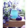 Perfume Halloween Blue Drop EDT 30ml Para Mujer Aroma Fresco Floral y Dulce Perfume Halloween Blue Drop EDT 30ml Para Mujer Aroma Fresco Floral y Dulce