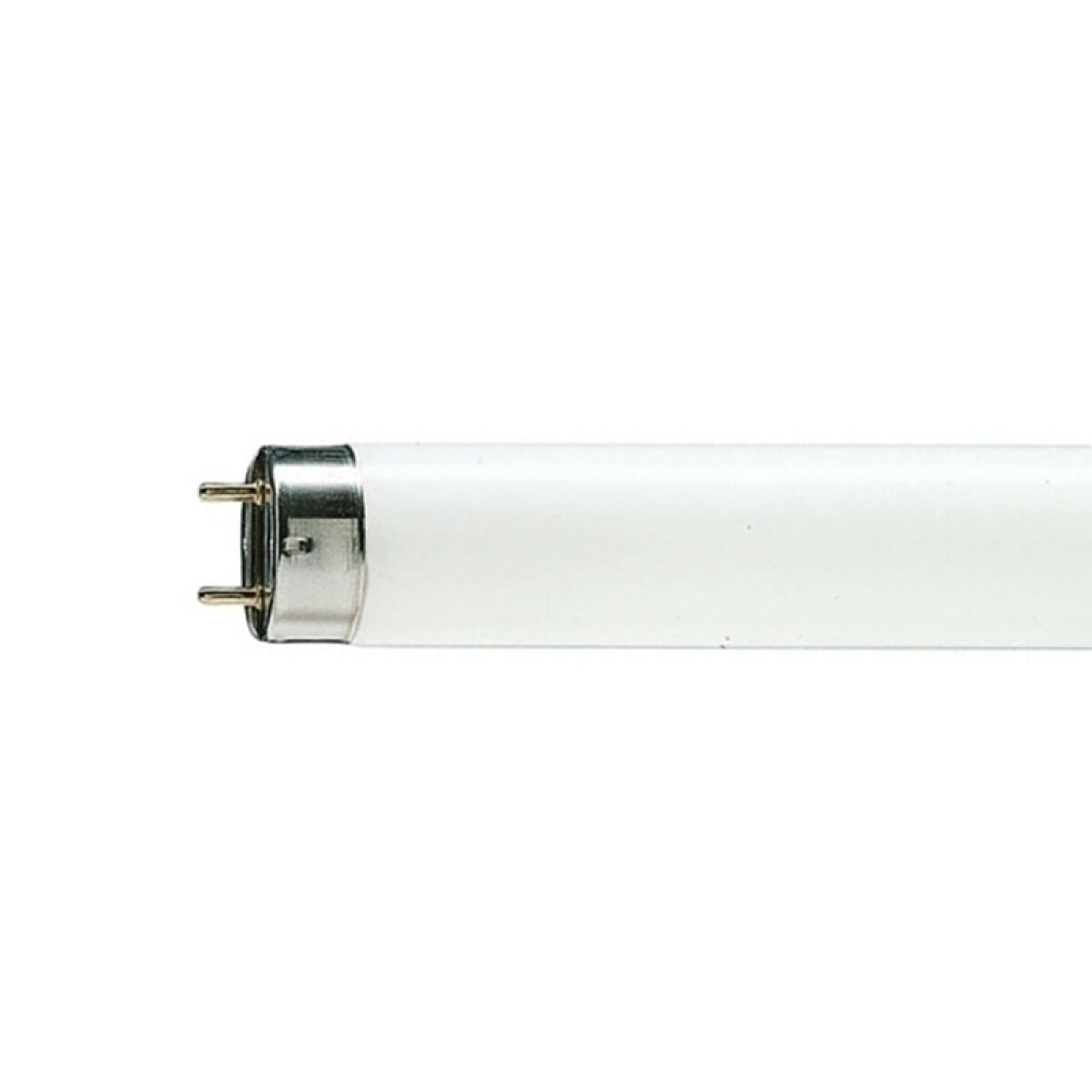 Tubo fluorescente trifósforo T8 58W, cálido - L24582 