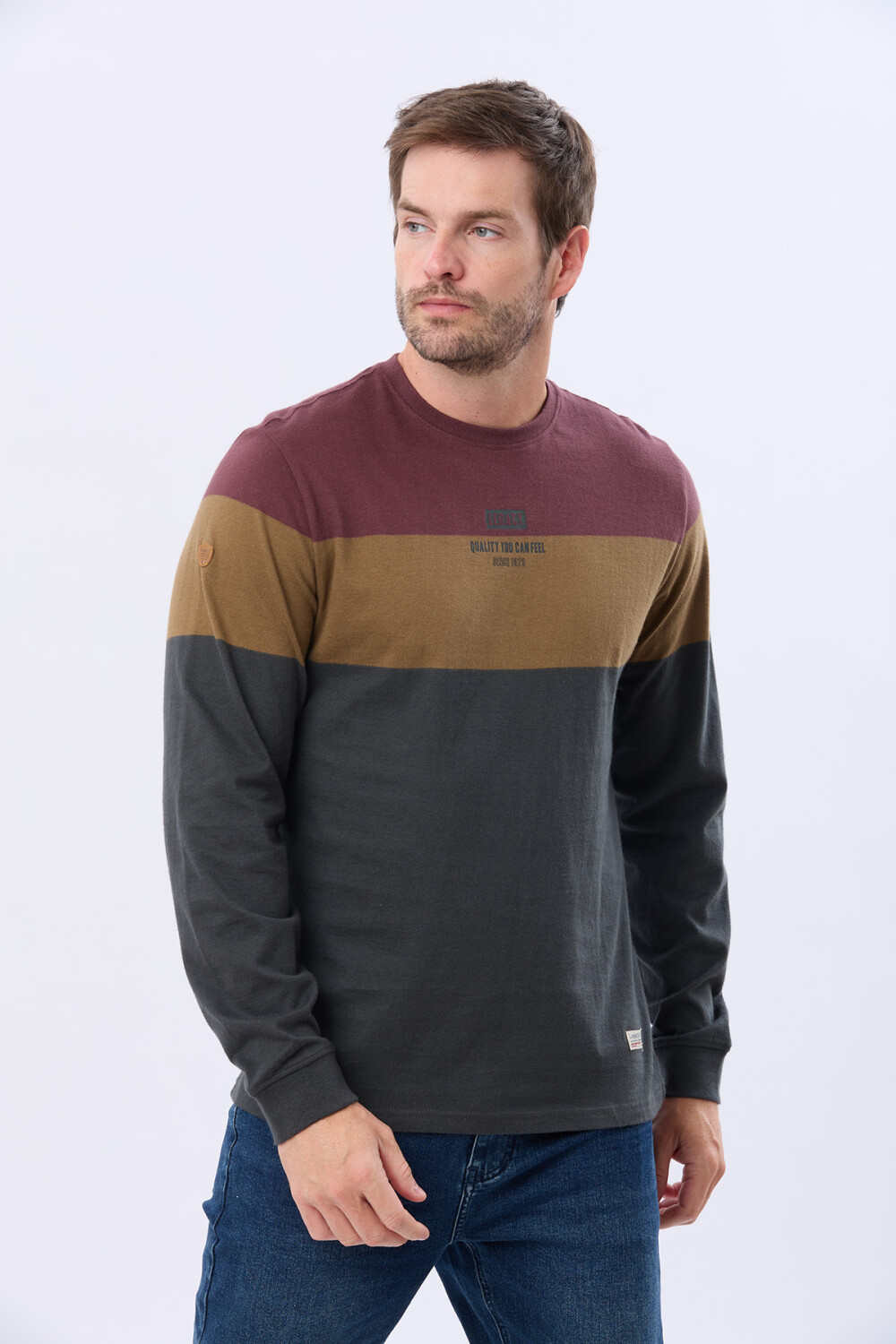 REMERA RAYADA CON ESTAMPA Gris