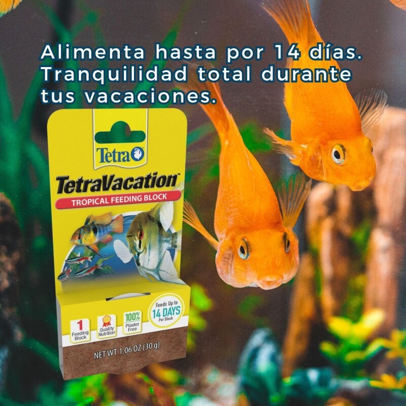 ALIMENTO VACACIONAL BLOQUE TETRA PARA PECES TROPICALES ALIMENTO VACACIONAL BLOQUE TETRA PARA PECES TROPICALES