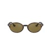 Ray Ban Rb4315 710/73
