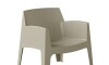 Silla Sillón de Exterior Master Marron