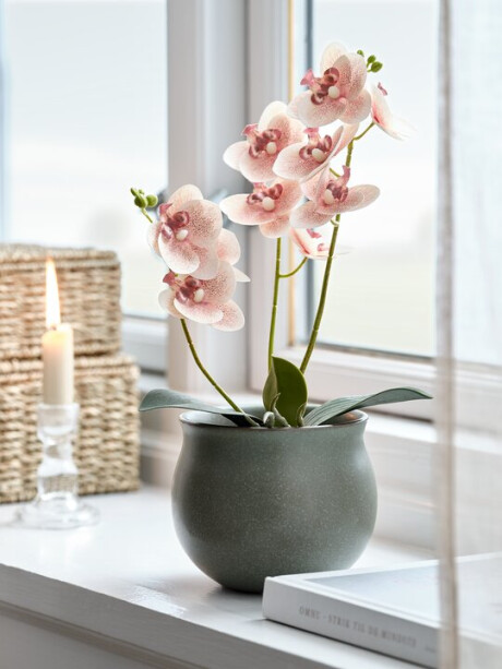 Maceta BJARNE Ø13xH11 cm verde Maceta BJARNE Ø13xH11 cm verde