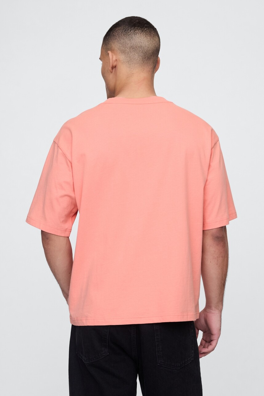 Remera Vintage Soft Hombre Tea Rose