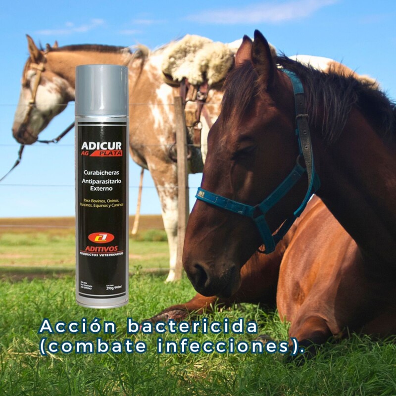 CURABICHERA ADICUR AG PLATA CURABICHERA ADICUR AG PLATA