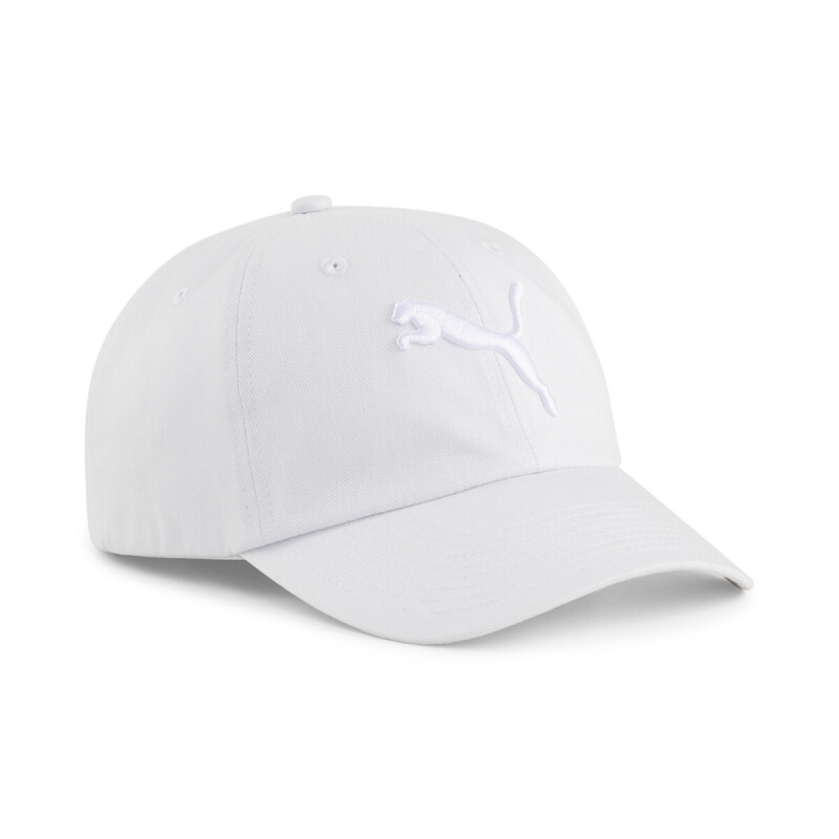 ESS Cat Logo BB Cap 02458715 - Gris 