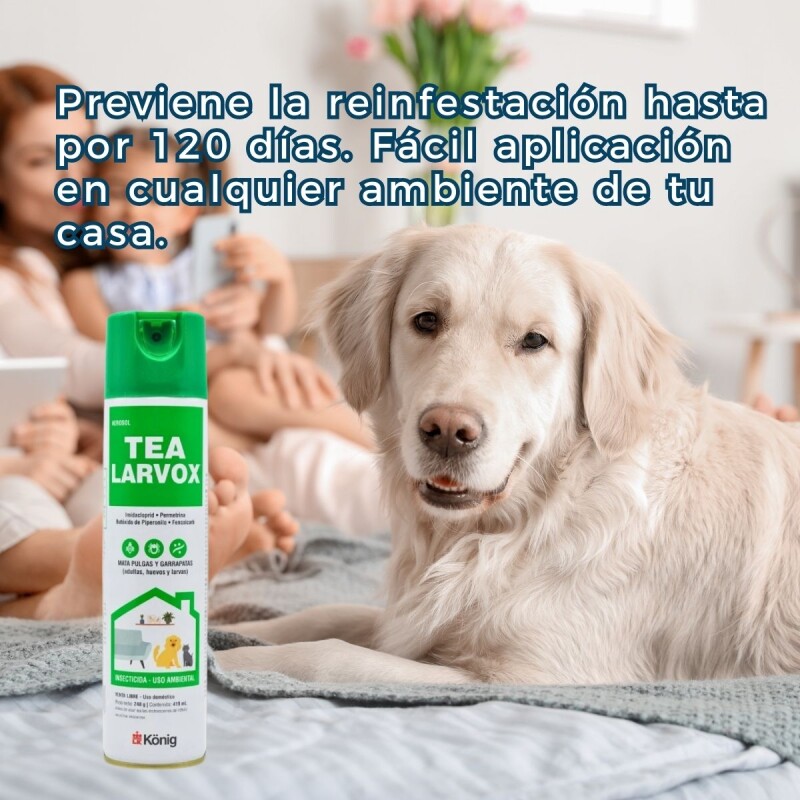 TEA LARVOX FRASCO 440 ML KONIG TEA LARVOX FRASCO 440 ML KONIG