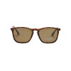 Lentes de Sol Bloom polarizados y protección UV PL246 C3
